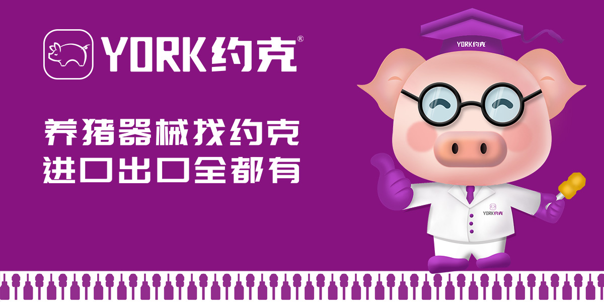 品牌全案策划