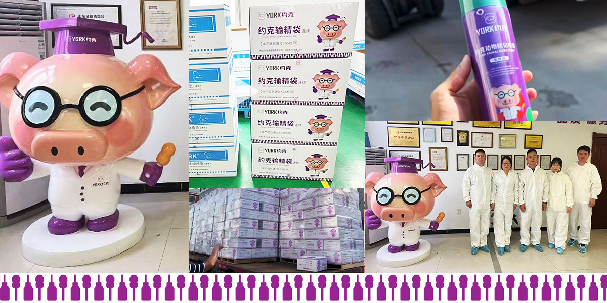 品牌全案策划